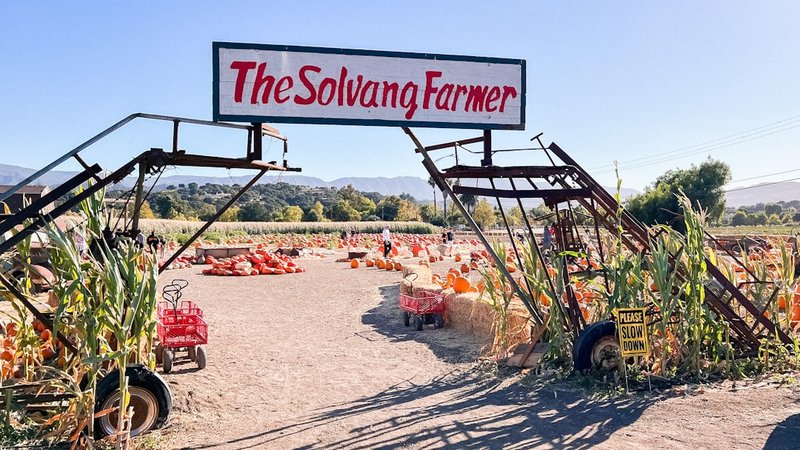 Zero Waste Restaurants California Locals Love