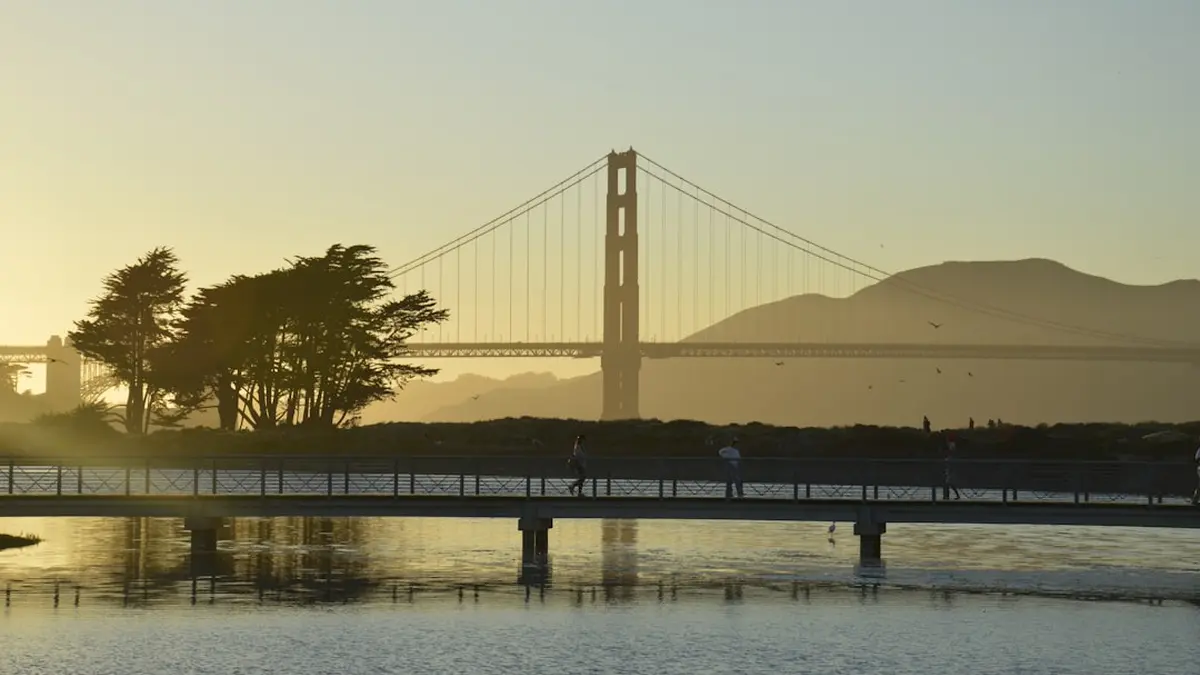 Bay Area Biohacking Essentials
