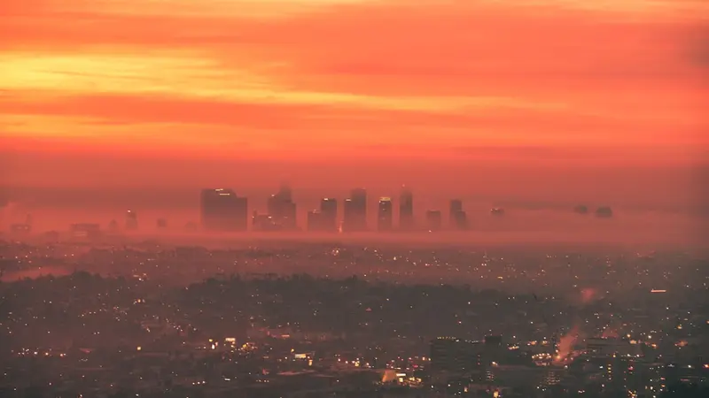 What Californians Should Eat and Take This Week While Smoke Rolls Back In